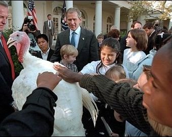 President George W. Bush and visitors looked over the bird. Image: WhiteHouse.gov. 